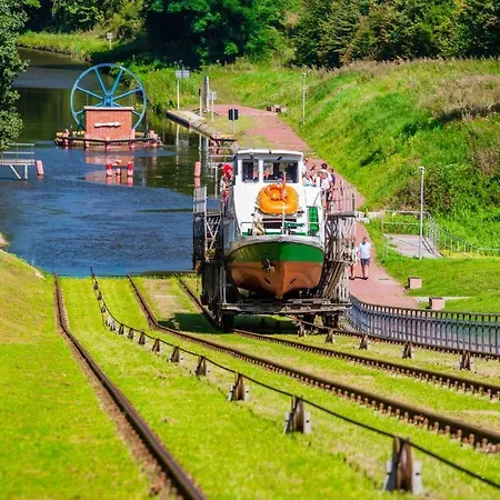 Wigilijna Premium Starowka