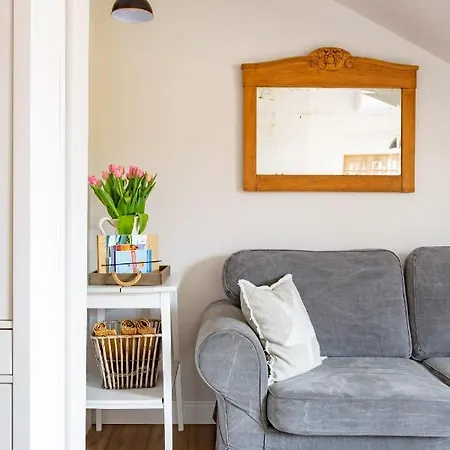 Апартаменты Wigilijna Premium Starowka Эльблонг